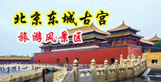 美腿内射少妇熟女中国北京-东城古宫旅游风景区